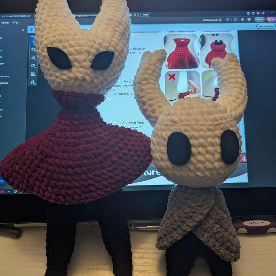 Hollow Knight and Hornet Hollow Knight and Hornet